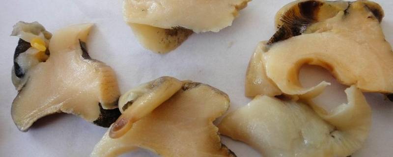 生海螺怎么保存熟冻还是生冻