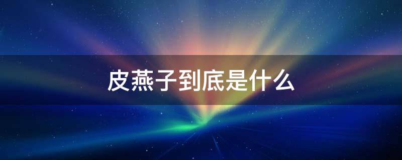 皮燕子到底是什么