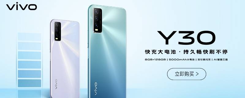 vivoy30标准版和vivoy30的区别