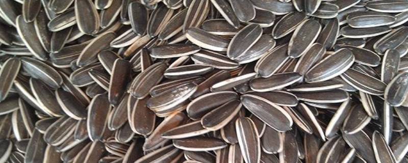 生瓜子怎么煮好吃