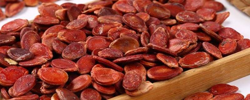 生的红瓜子怎么煮更入味