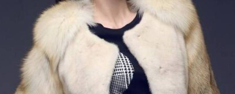 水貂毛如何清洗
