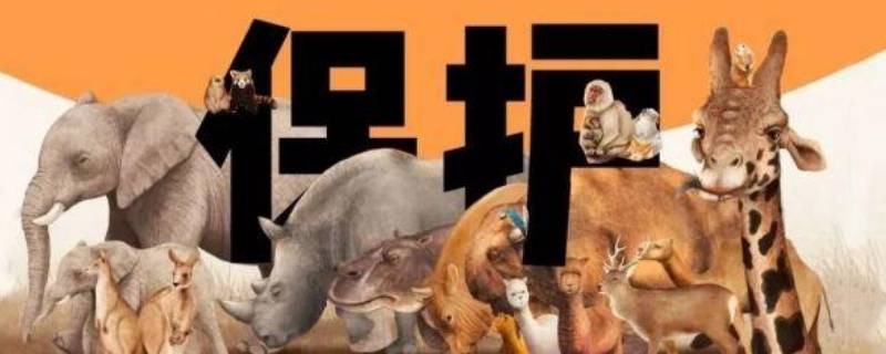 十种保护动物的名称有哪些