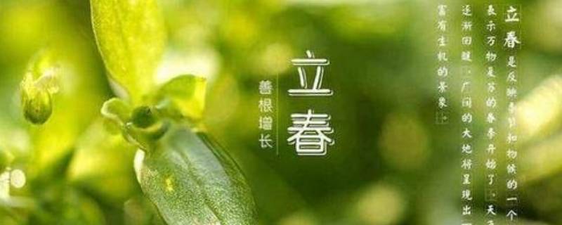 双立春是什么意思