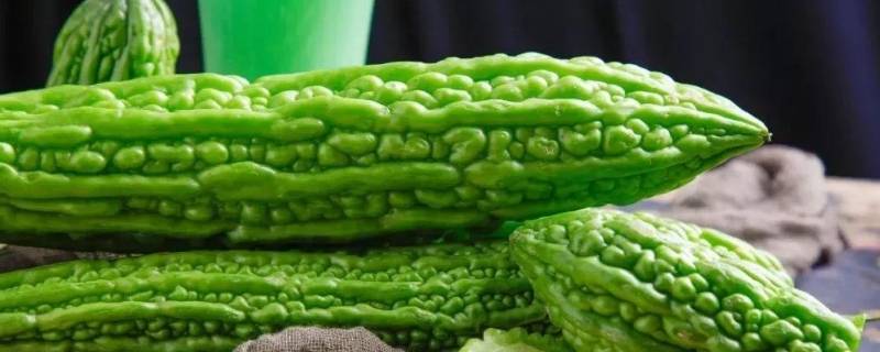 十种蔬菜的名称