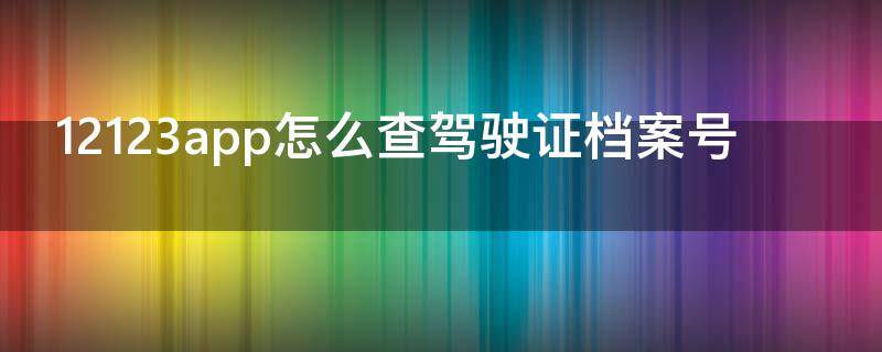 12123app怎么查驾驶证档案号