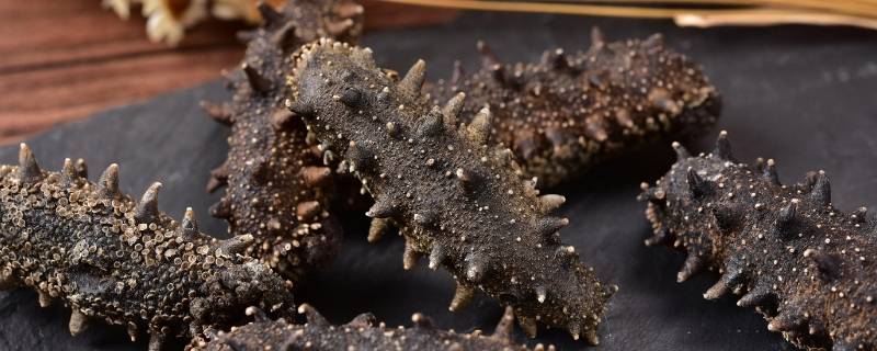 干海参怎么选好坏