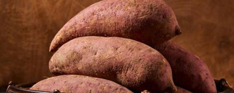 红薯能放冰箱保存吗
