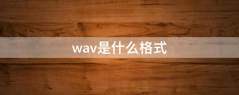 wav是什么格式