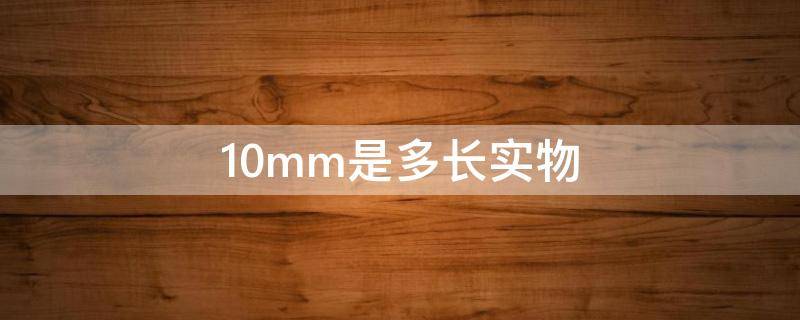 10mm是多长实物