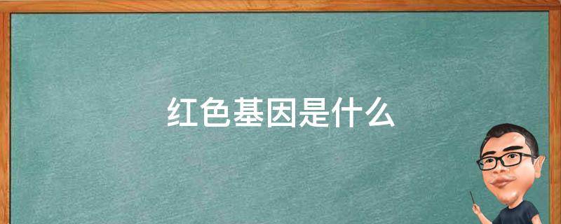 红色基因是什么