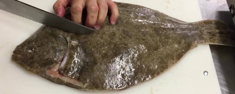 多宝鱼如何去鳞和内脏