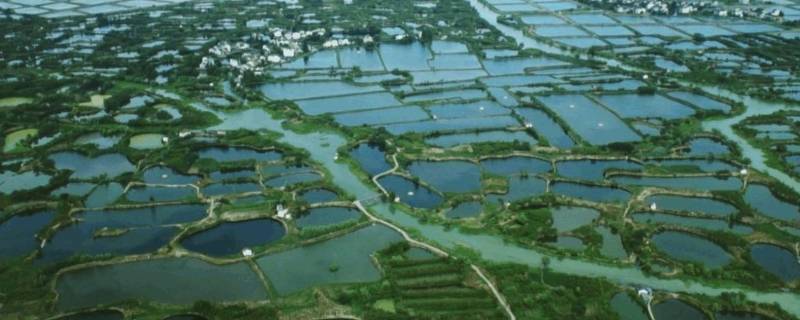 苏湖指什么地方