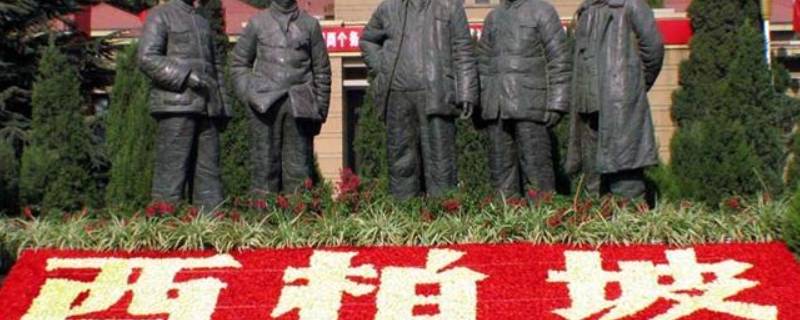什么在西柏坡成立
