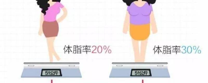 如何计算体脂率女生