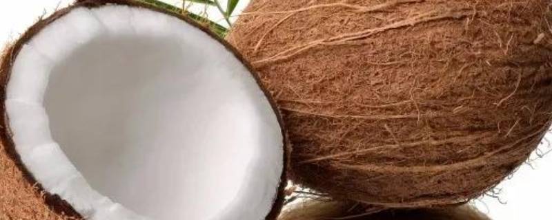 椰子肉粉色是怎么回事