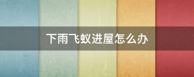 下雨飞蚁进屋怎么办