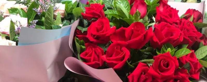 花束怎么保存 生活百科