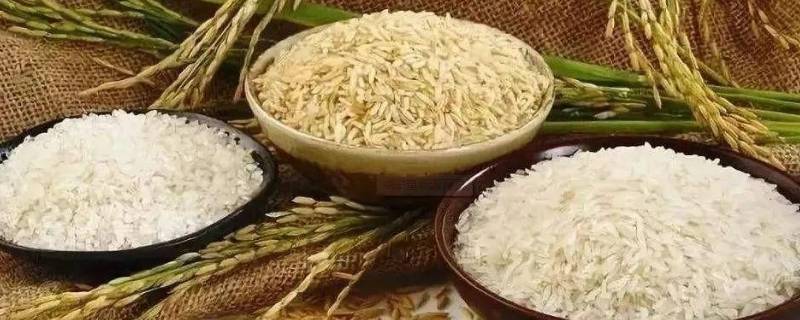 如何保护粮食安全