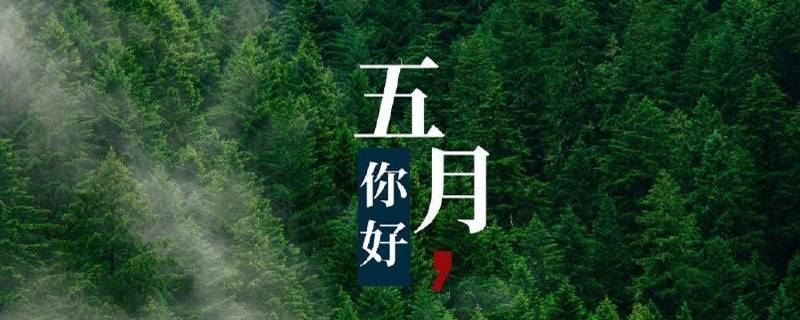 5月冲刺口号