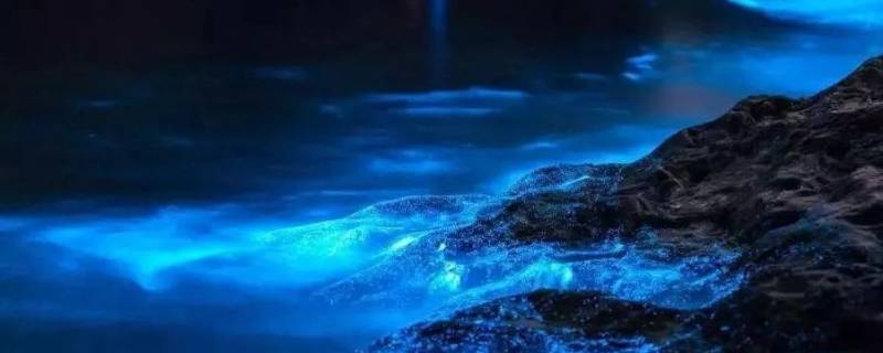 荧光海是怎么形成的