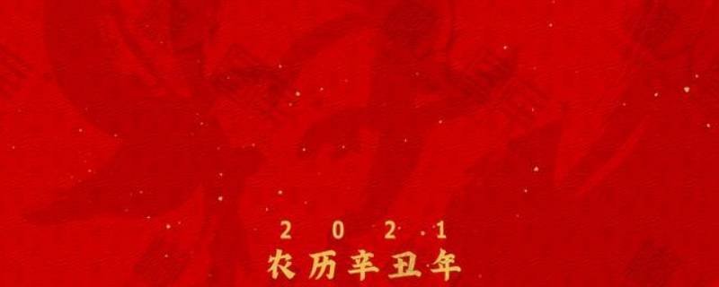 红年是什么