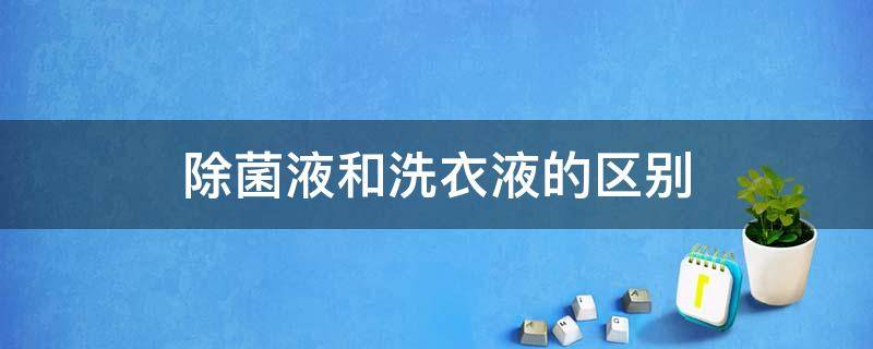 除菌液和洗衣液的区别