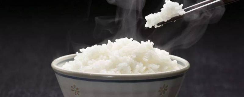米水比例