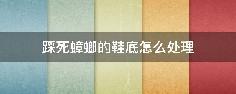 踩死蟑螂的鞋底怎么处理