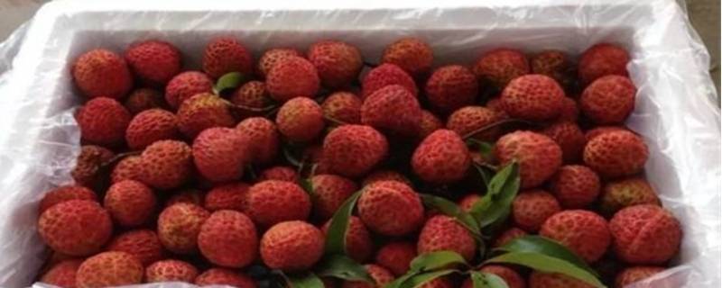 荔枝邮寄可以保鲜几天