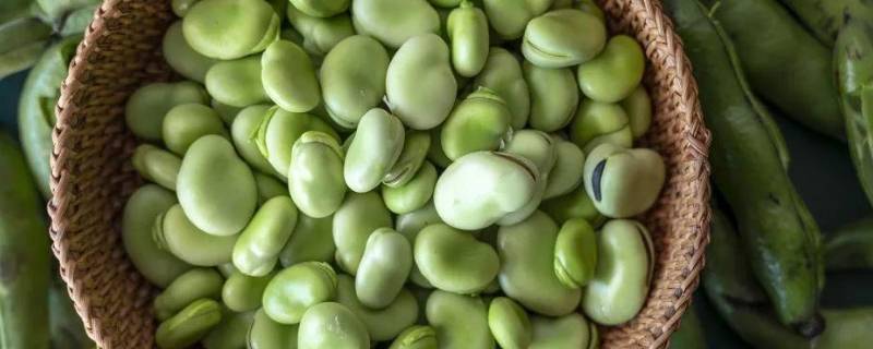 为什么叫蚕豆
