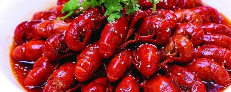 456规格的小龙虾有多大