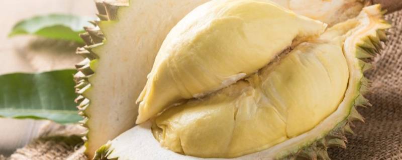 怎么挑选榴莲的好坏