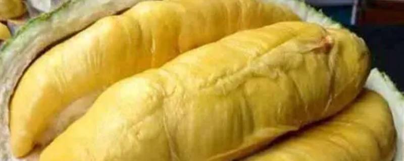 榴莲有水是不是坏了