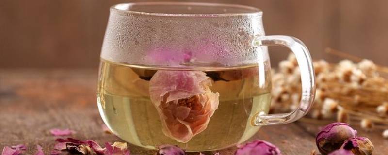 牡丹花瓣可以直接泡水吗