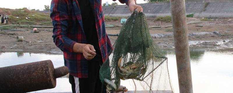 下地笼的正确方法