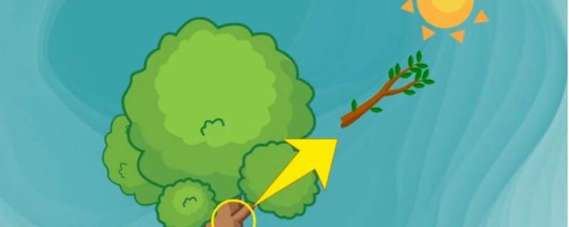 如何辨别方向的方法或自然现象