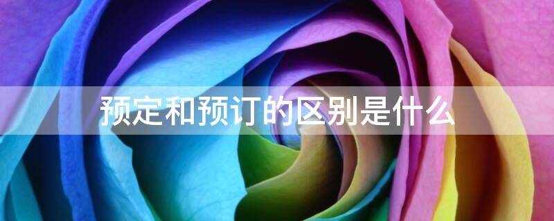 预定和预订的区别是什么