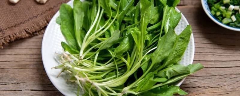 荠菜的吃法有几种