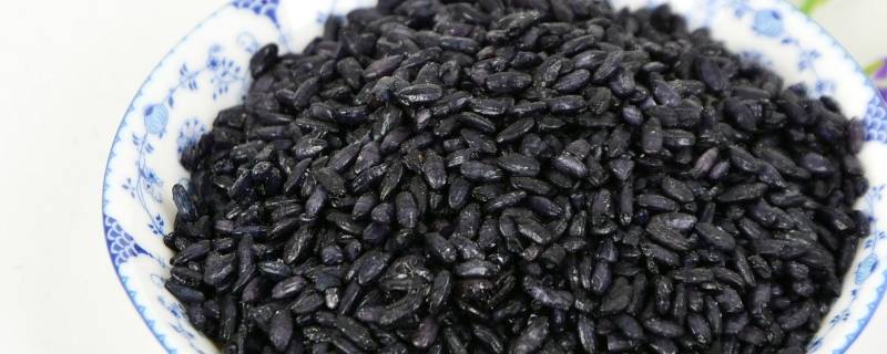 乌米饭要泡多久