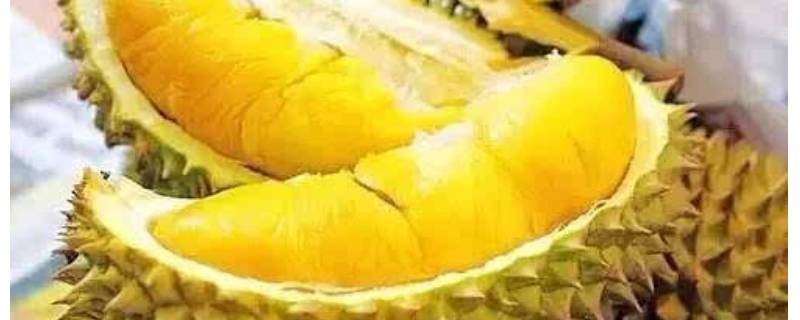 榴莲熟了重量会减少么