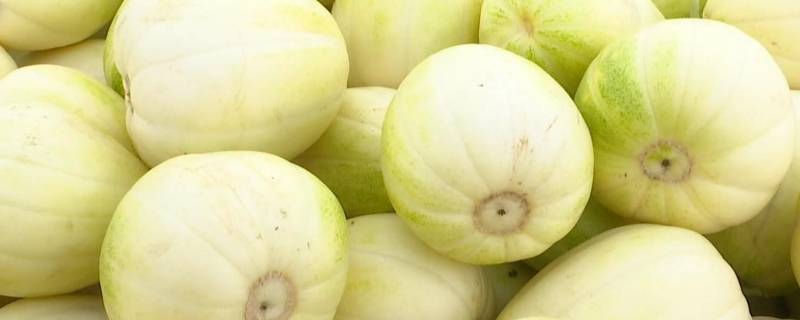 5月份当季水果蔬菜有哪些