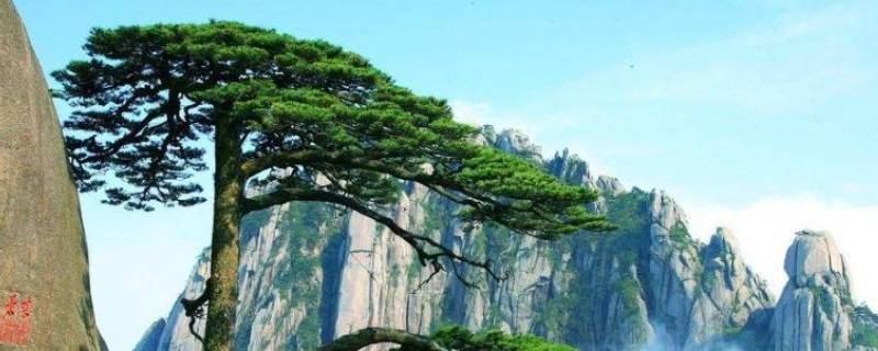 生活中还有哪些判别方向的办法