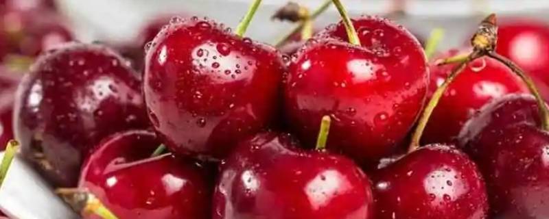 温性水果都是有哪些