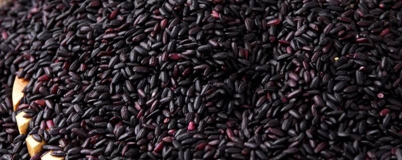 黑米的营养