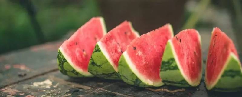 西瓜成分