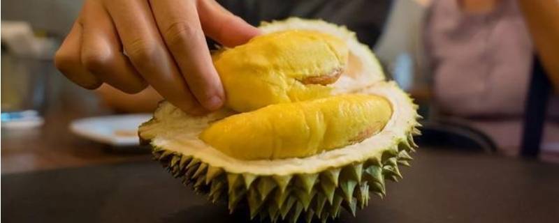 榴莲分类