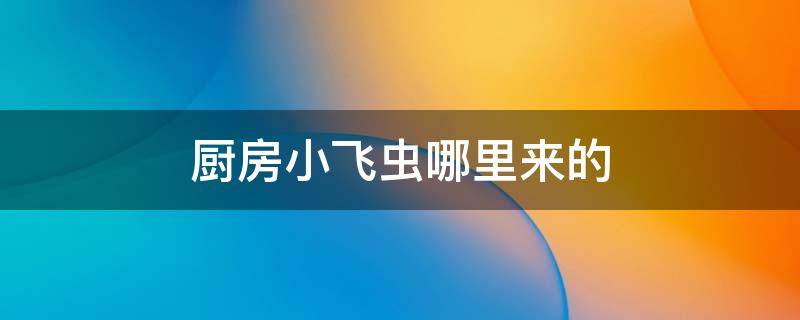 厨房小飞虫哪里来的
