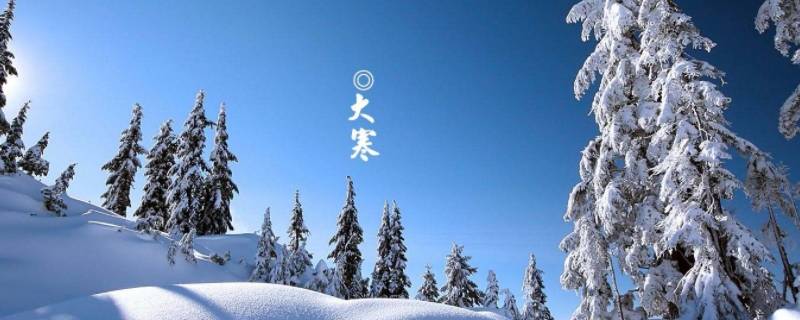 大寒代表什么