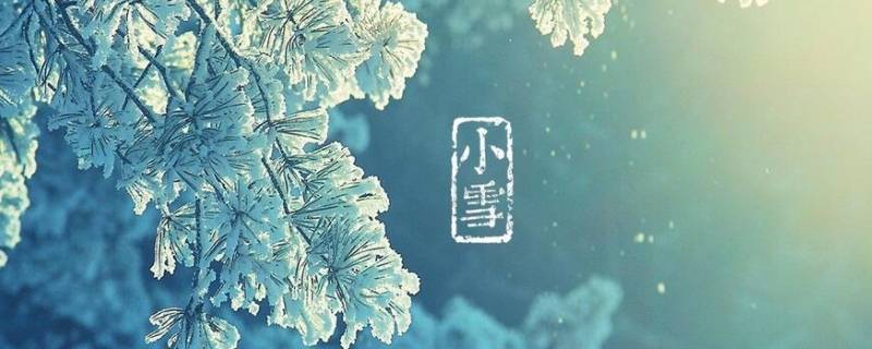 小雪代表什么